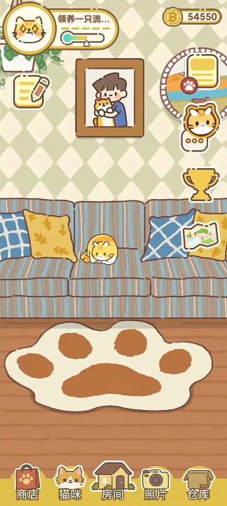 领养一只流浪猫正版(暂未上线)