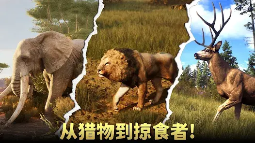 动物猎人荒野狙击手游戏下载