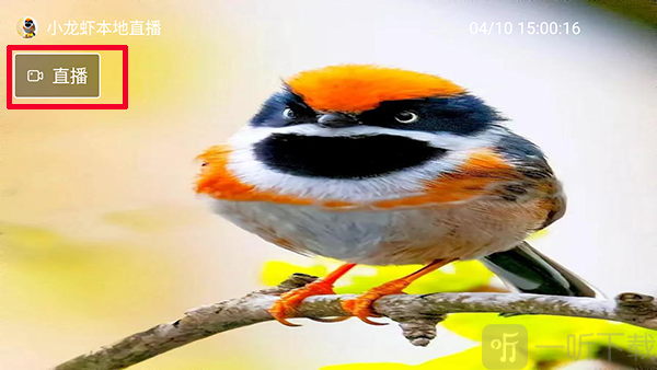 小龙虾直播TV版app下载