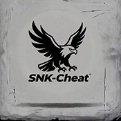 SNK容器直装app下载