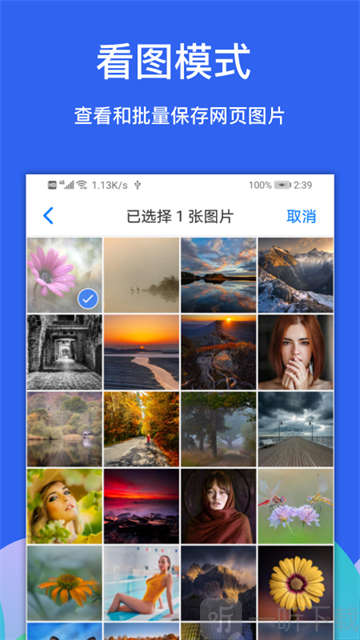 Alook浏览器下载