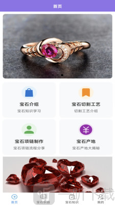 宝石家族app下载