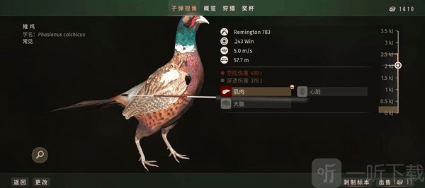狩猎之道手游下载安卓版