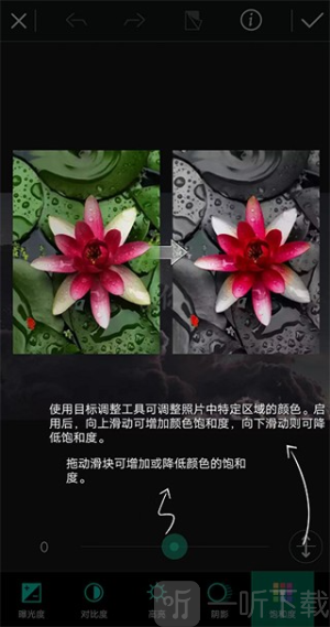 相片大师2025中文版下载