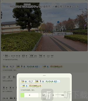 Miraa安卓下载