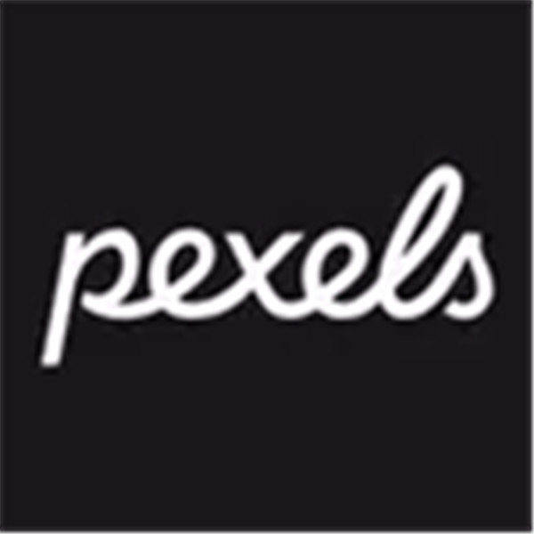 Pexels素材中文版下载