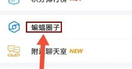 蝙蝠安全聊天下载安装免费