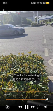 SubCat翻译安卓下载