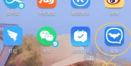 蝙蝠软件下载免费