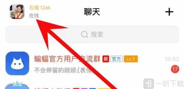 蝙蝠安全聊天软件下载