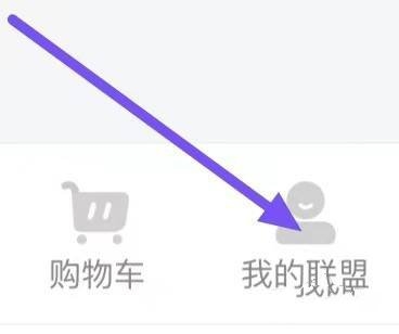 晨光联盟app下载安装
