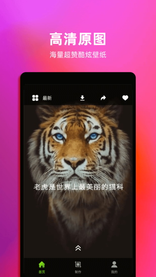 动态壁纸手机壁纸app下载