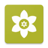 安装狮直装版下载app