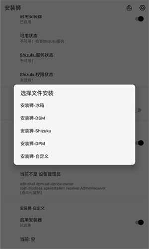 安装狮直装版下载app