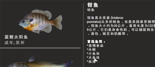 垂钓星球下载手机版免费
