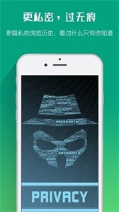 海豚浏览器flash版本下载安装
