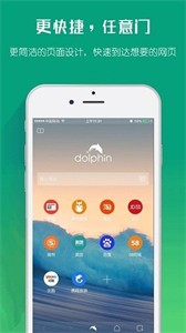 海豚浏览器flash版本下载安装