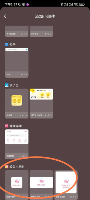 鲸鱼小组件最新版下载