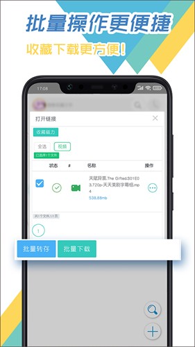 飞鸟下载器安卓版下载