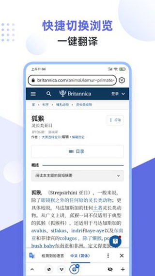 狐猴浏览器app老版本下载