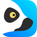 狐猴浏览器app老版本下载