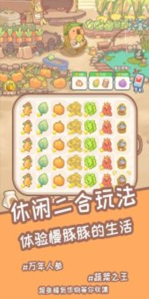 慢豚豚的生活游戏免广告下载