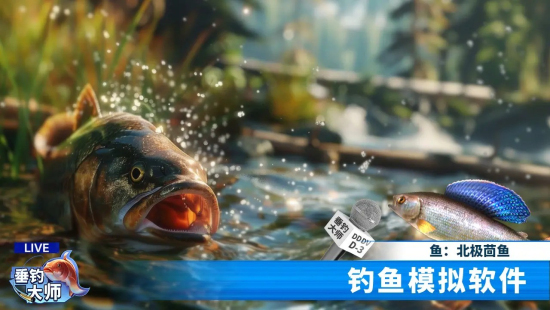 垂钓大师手机版最新版下载