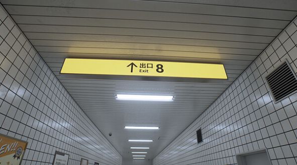 8号出口steam下载