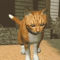 快乐猫猫传下载
