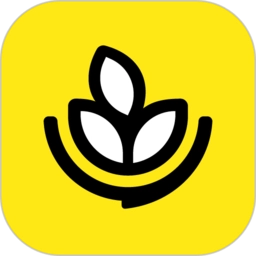 燕麦烘焙软件下载