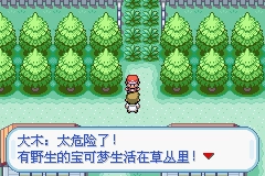 口袋妖怪火红正版下载