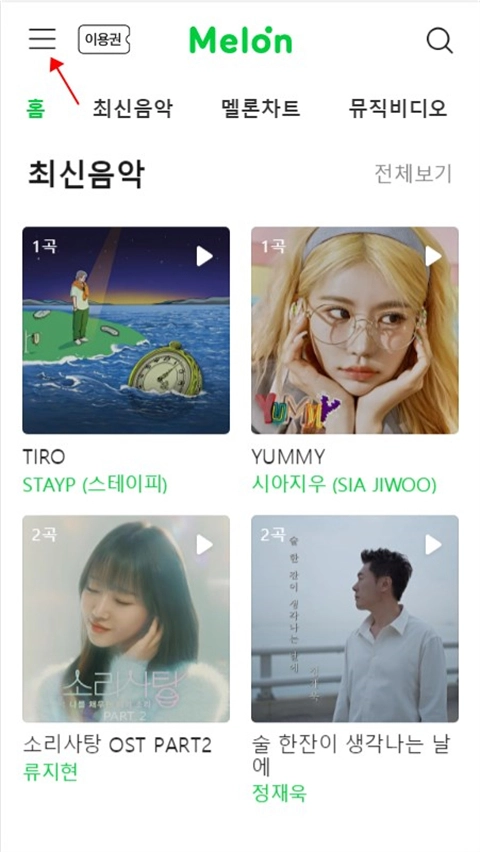 Melon中文版下载