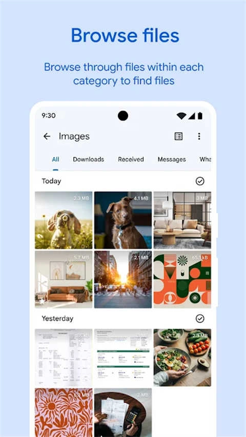 Google文件极客最新版下载
