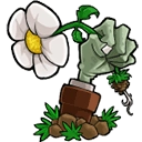 植物大战僵尸重植版2026下载