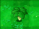 植物大战僵尸重植版2026下载