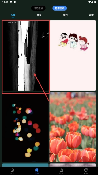 免费壁纸最新版下载