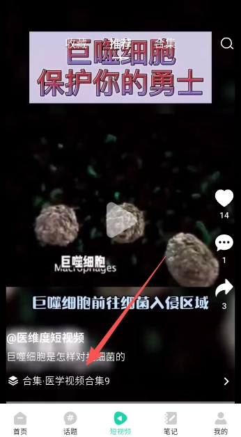 医维度解剖3d人体解剖安卓版app下载
