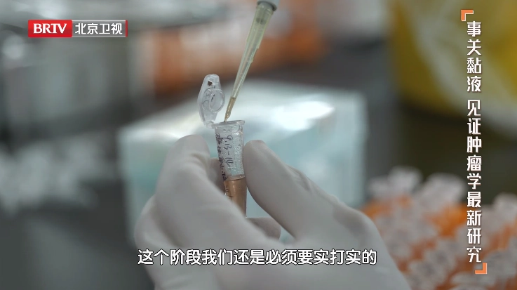 WebView最新版app下载