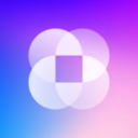 NestWidget手机版免费下载