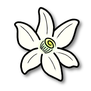 橙花模拟器app下载
