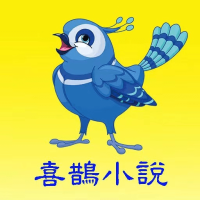 喜鹊小说app安卓版下载